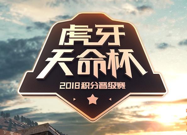 赛事覆盖的深度与广度,从五大联赛到次级联赛与杯赛的探索 赛事覆盖的深度与广度,从五大联赛到次级联赛与杯赛的探索